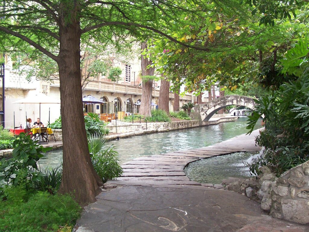 A bridge beside a lake with lot of green trees